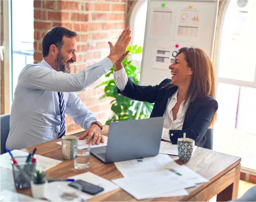 Due Diligence On Business Purchase